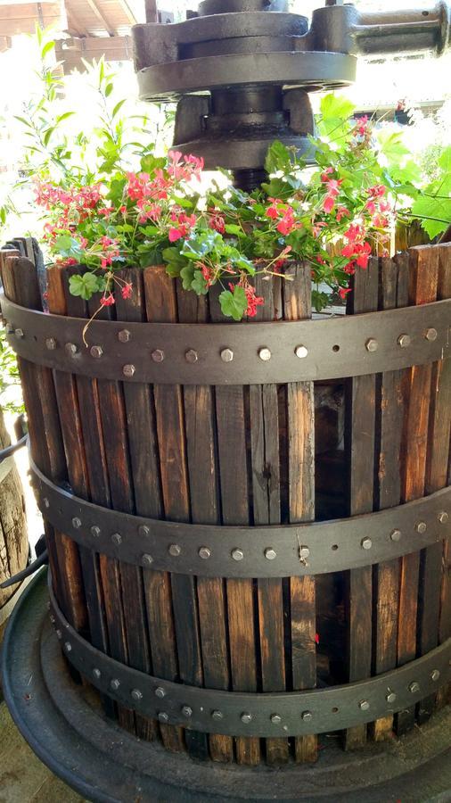 Relais Profumo Di Vino Bed & Breakfast Borgomanero Bagian luar foto
