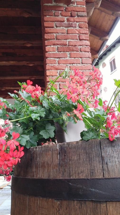 Relais Profumo Di Vino Bed & Breakfast Borgomanero Bagian luar foto